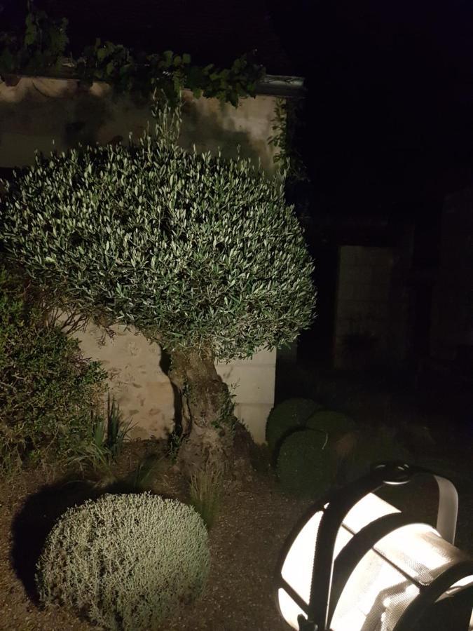 Le Clos Falaw Azay-sur-Cher Exterior foto