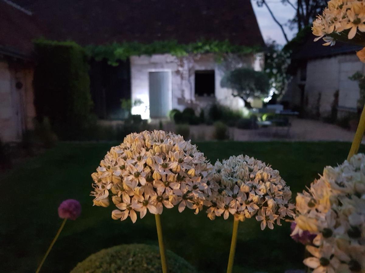 Le Clos Falaw Azay-sur-Cher Exterior foto